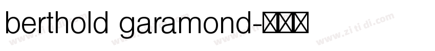 berthold garamond字体转换